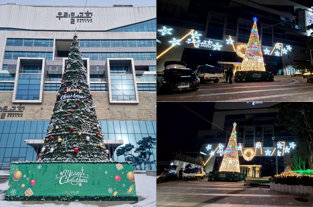 판교 우리들교회 — 교회 앞 대형 트리의 낮과 밤 모습