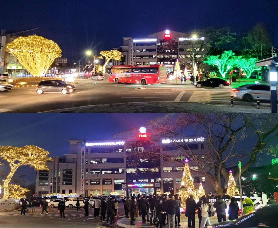 고창군청 — 군청 앞 골드·그린 경관조명 나무
