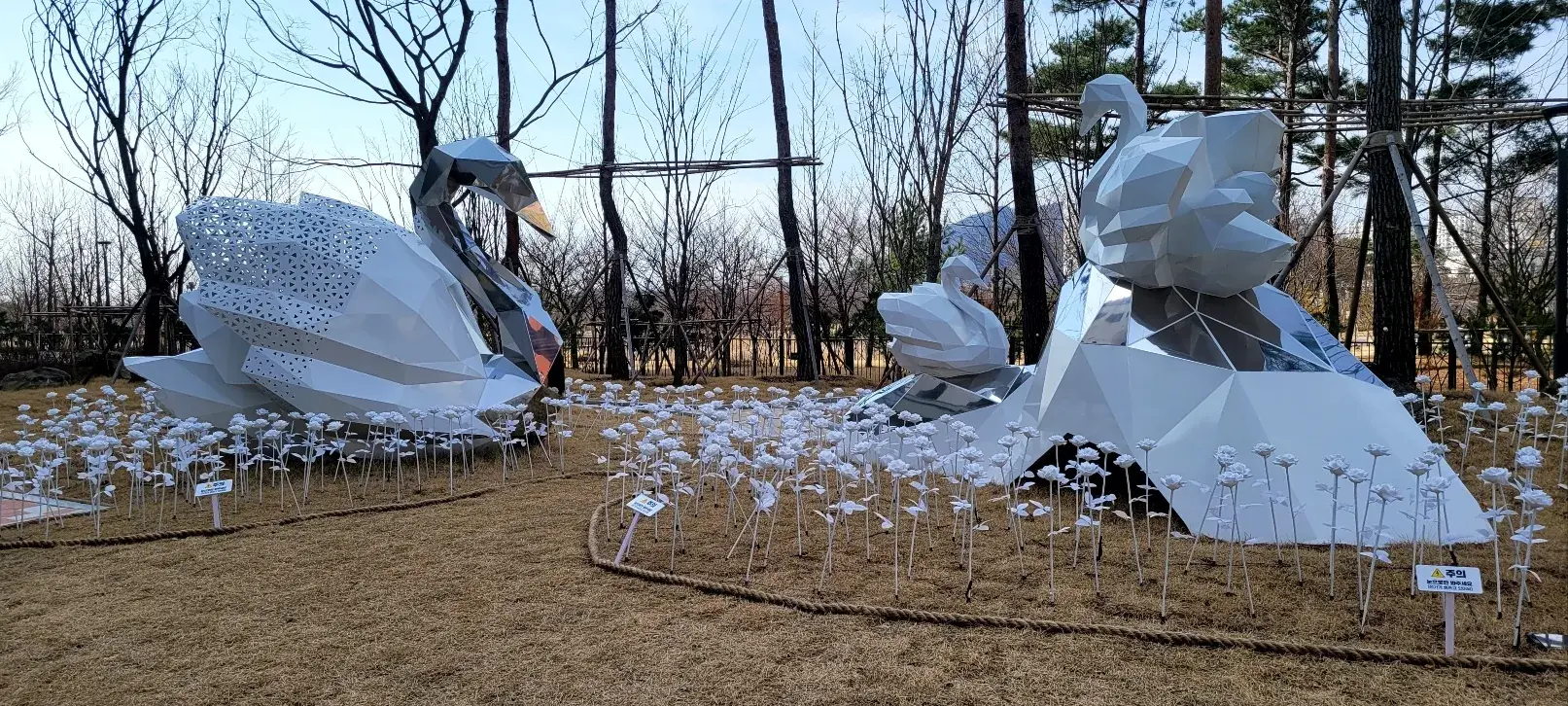 대구 테크노폴리스 — 백조 조형물과 장미 정원(주간)