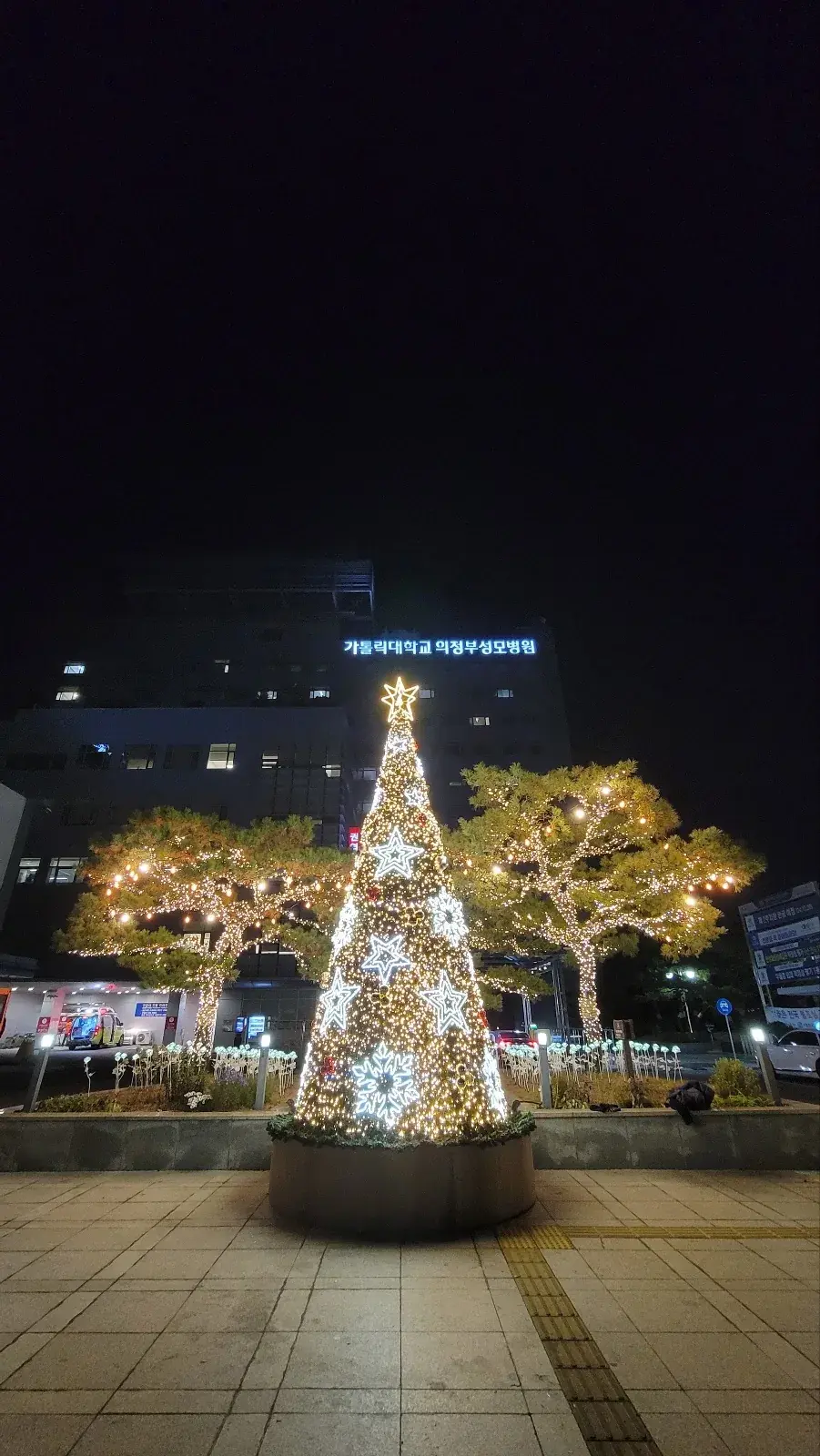 의정부 성모병원 — 병원 앞 눈꽃 트리 야경