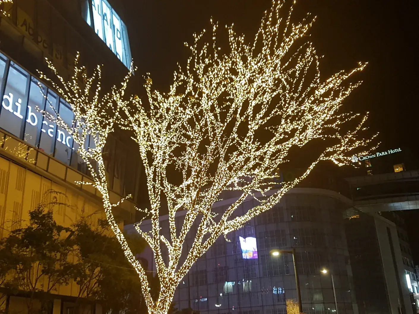 2017 명동 빛축제 — 건물 앞 빛 가로수 야경