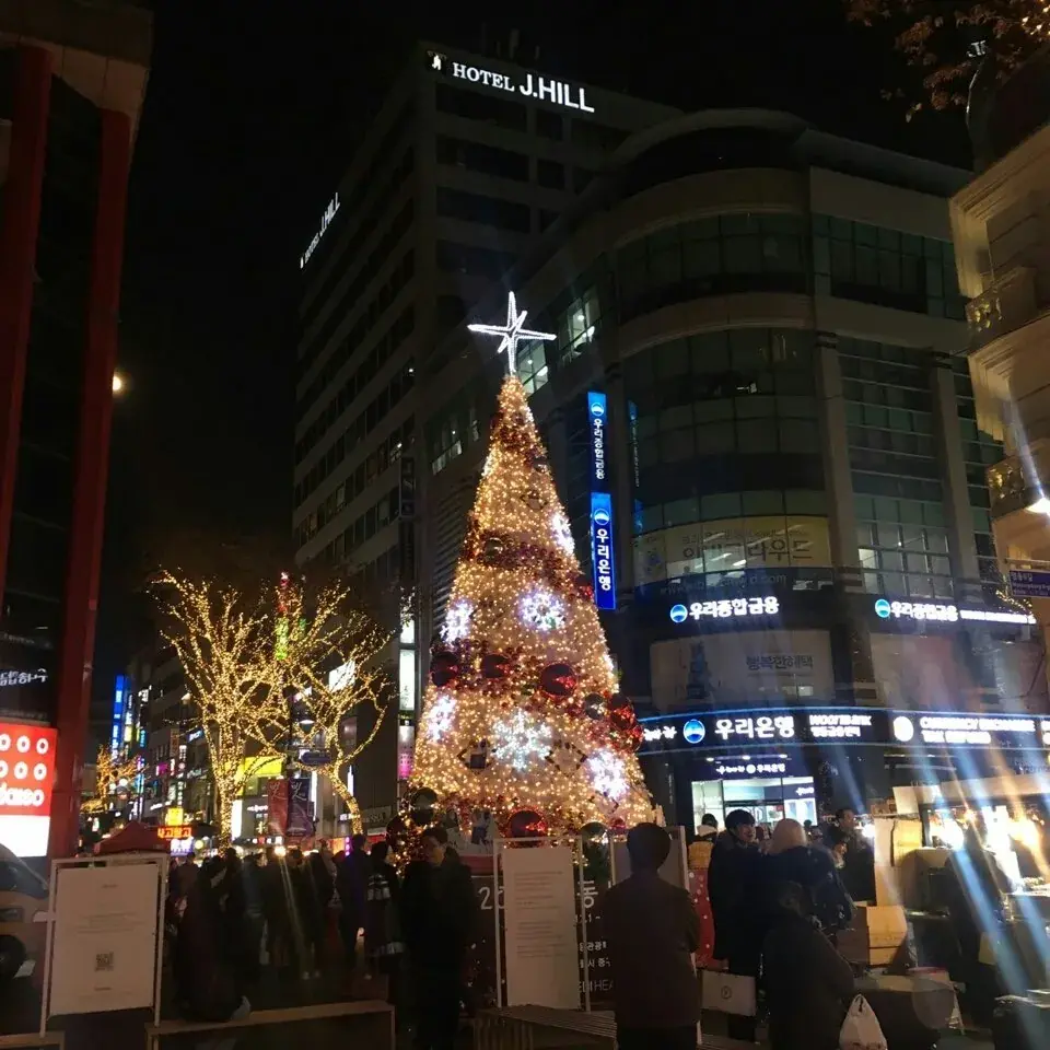 2016 명동 빛 축제 — 별 장식 대형 트리 야경
