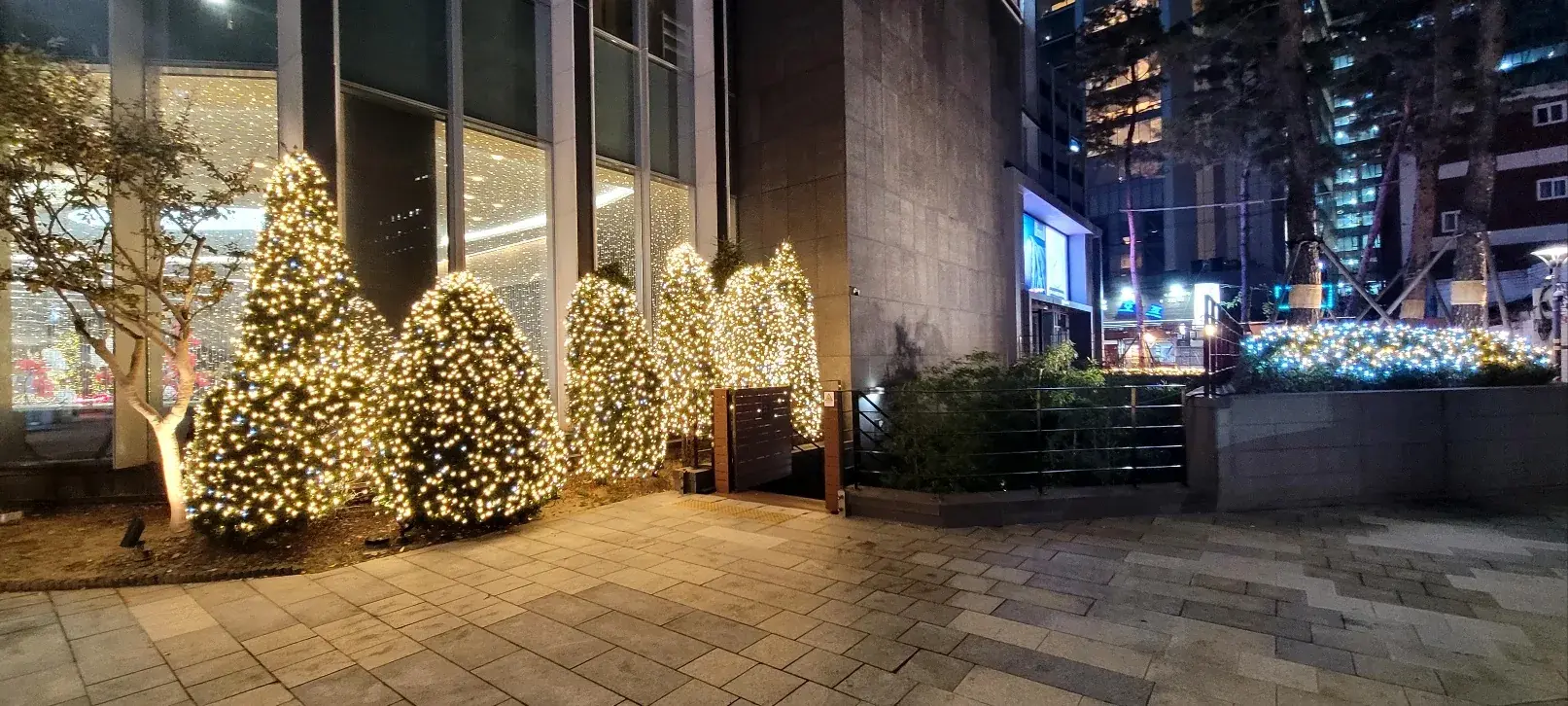 라이나타워 — 보행로 옆 관목 조명 야경