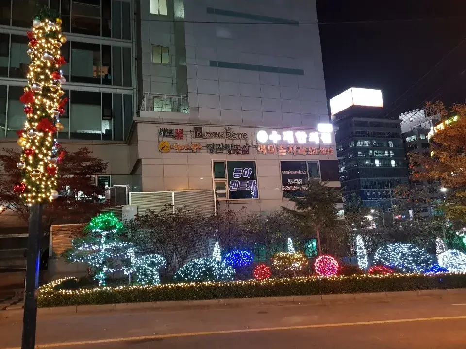 국제전자센터 — 화단 따라 이어진 LED 장식