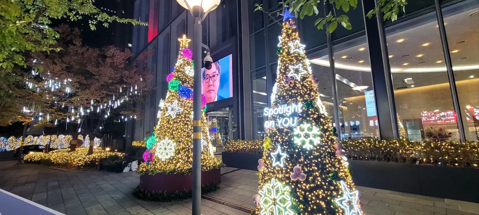 라이나타워 — 건물 앞 야외 트리 두 그루 야경