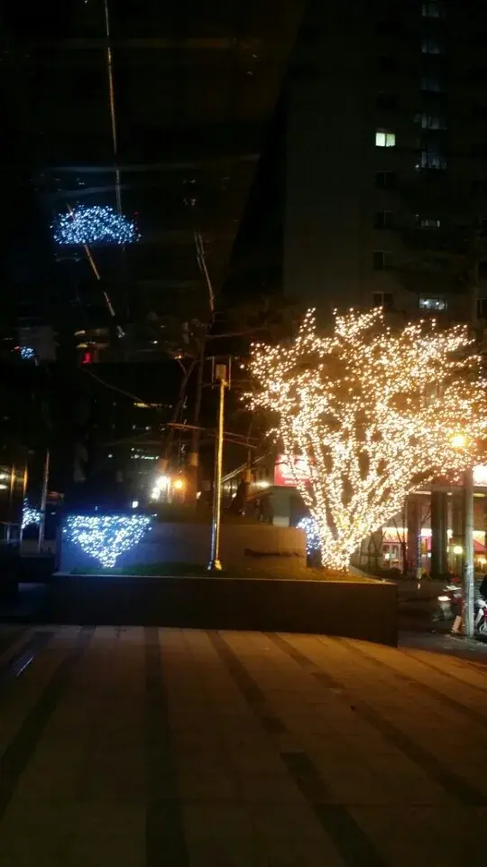 건물 입구 캐노피 별빛 장식 — 광장 수목 조명과 하트 장식