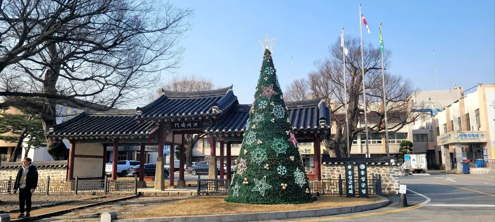2024 홍성군청 — 한옥 문과 트리 전경