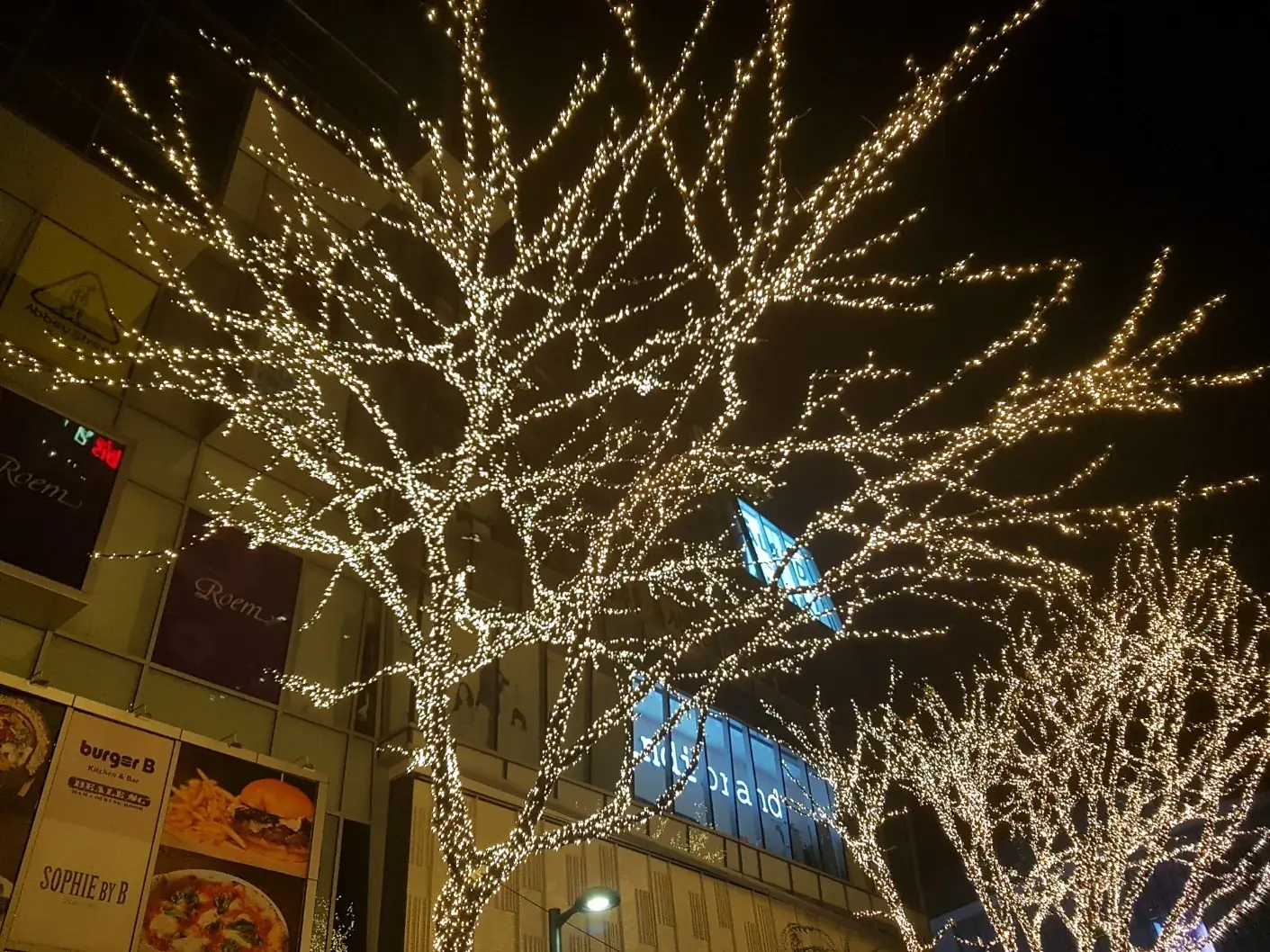 2017 명동 빛축제 — 가지 끝까지 감싼 전구 조명