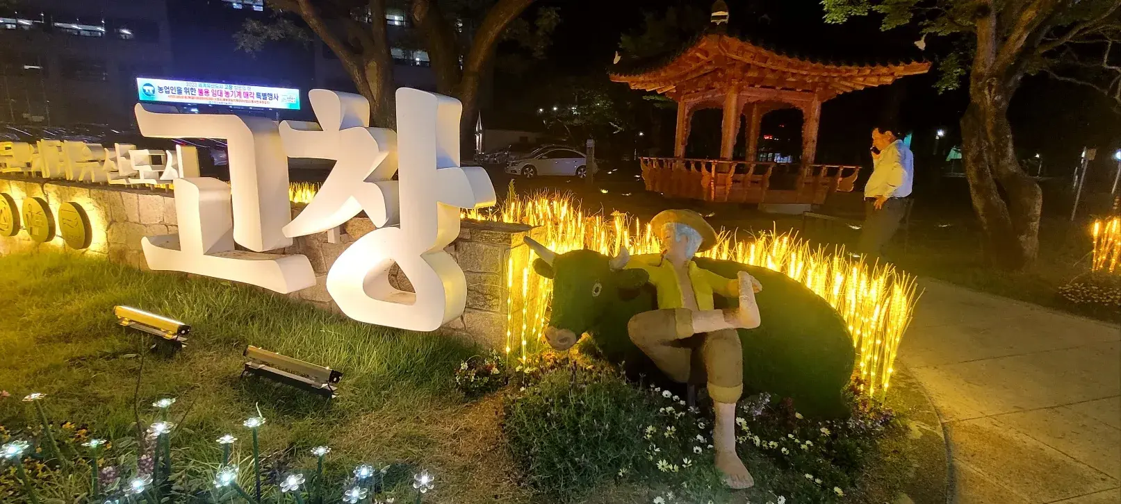 고창 청보리 축제 포토존 — ‘고창’ 글자 조형물과 황금 보리 조명
