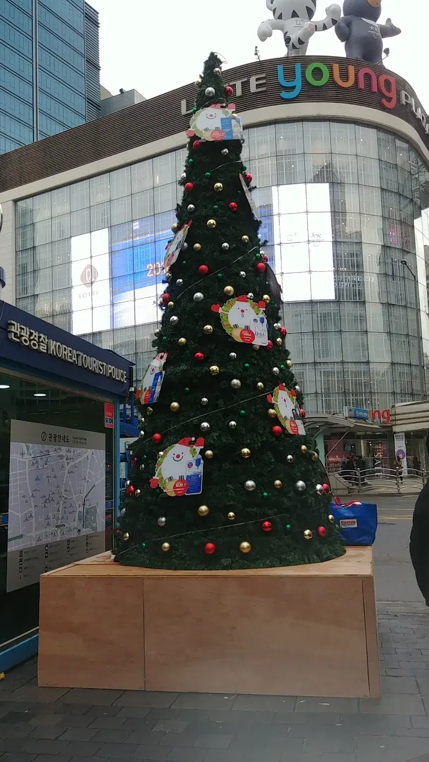 2017 명동 빛축제 — 오너먼트 장식 그린 트리(주간)