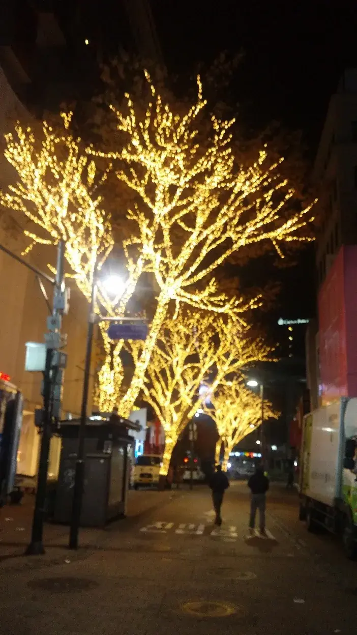 2016 명동 빛 축제 — 골드 전구로 감싼 가로수 야경