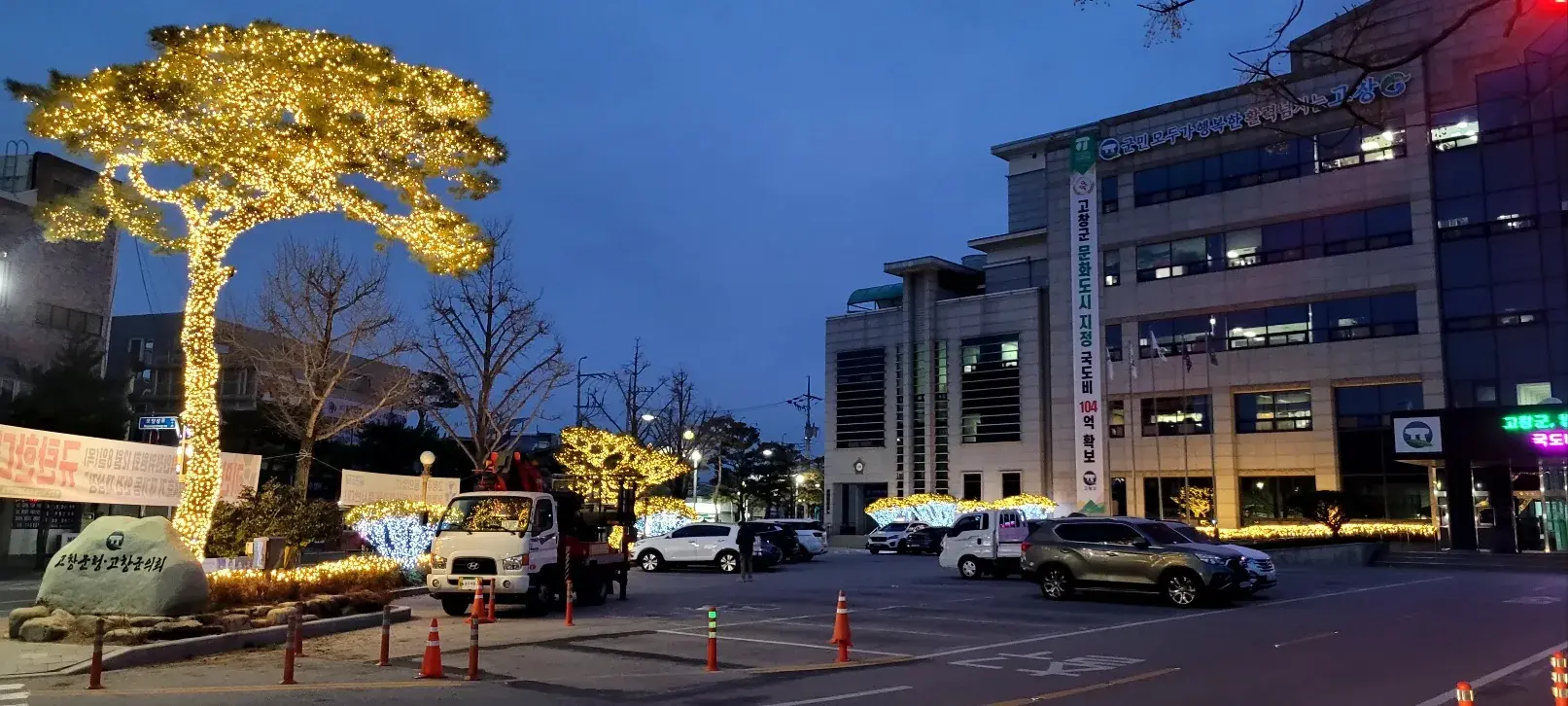 고창군청 — 군청 앞 골드 소나무 조명