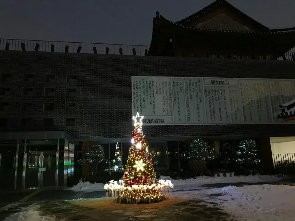 레드·골드 트리와 LED 장미 — 한옥 건물 앞 트리 야경