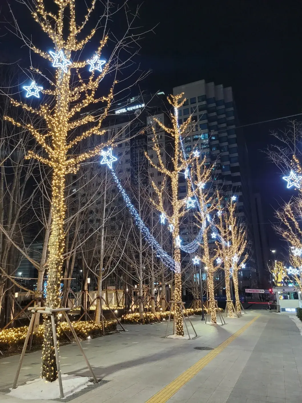 강남 센터필드 — 별 장식 가로수와 블루 라인 조명