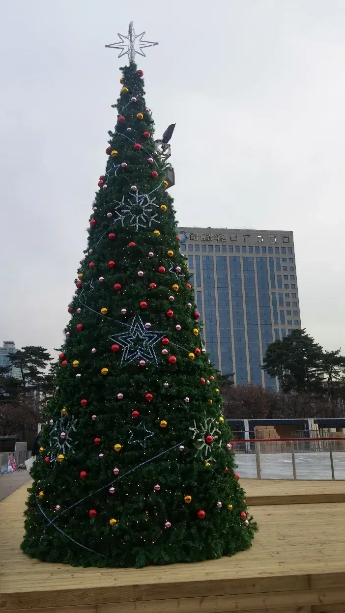 빌딩 광장 대형 야외 트리 — 데크 위 대형 트리 근접