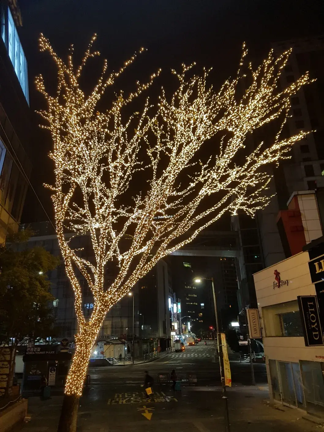 2017 명동 빛축제 — 교차로 모퉁이의 빛 가로수