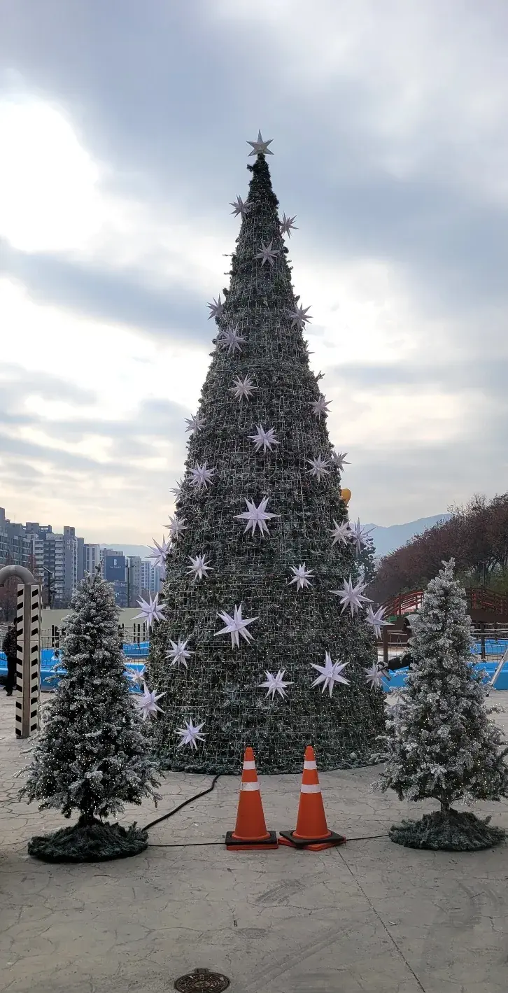 대구 신천 스케이트장 8m 트리 — 낮에 본 8m 트리와 눈꽃 트리