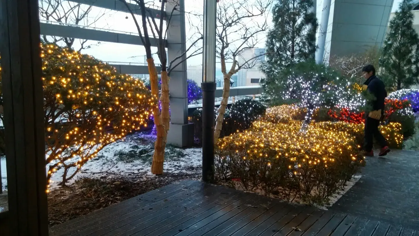 건물 입구 캐노피 별빛 장식 — 화단과 수목 조명 전경